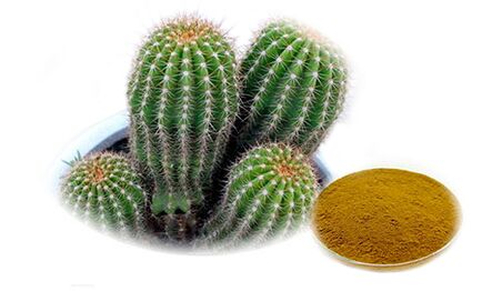 Hoodia gordoni as part of Reduslim
