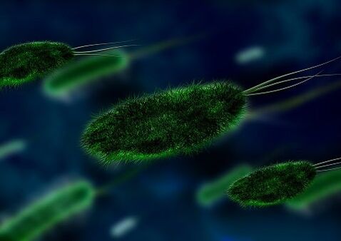 the cause of gastritis is bacteria - Helicobacter